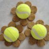 hree bright yellow tennis balls surrounded by a circular arrangement of small, round, light brown dog treats on a light surface.