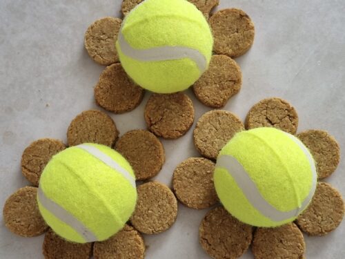 hree bright yellow tennis balls surrounded by a circular arrangement of small, round, light brown dog treats on a light surface.