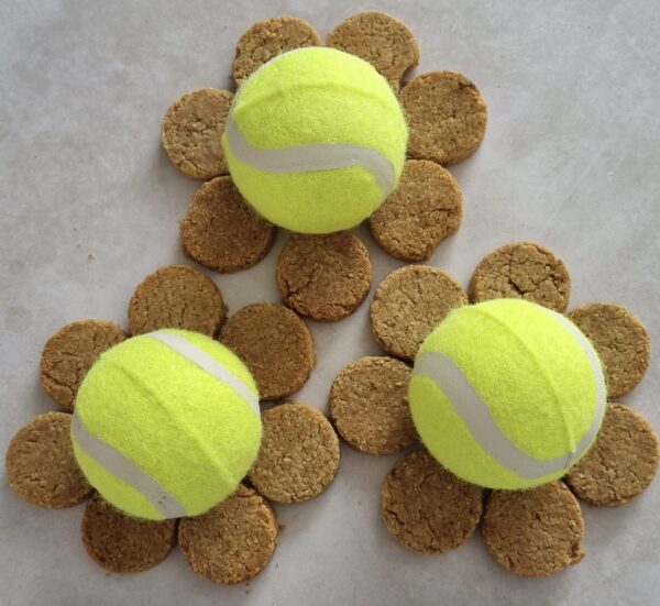 hree bright yellow tennis balls surrounded by a circular arrangement of small, round, light brown dog treats on a light surface.