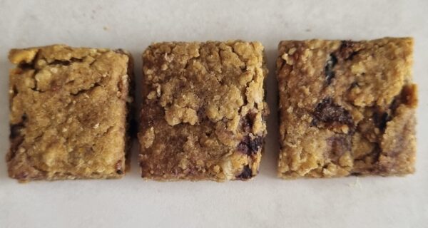 hree rectangular dog treats with a textured, golden-brown appearance and visible berries.