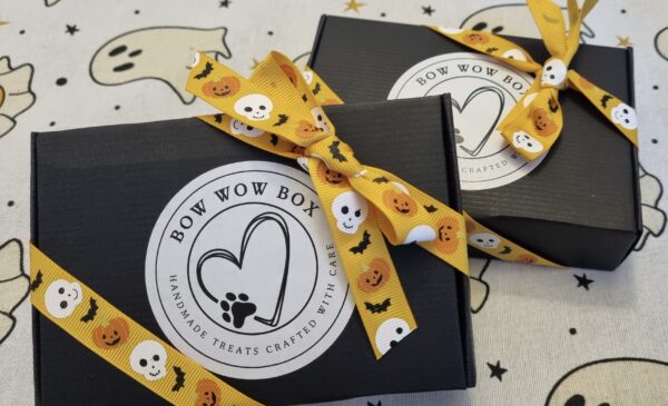 two-spooky-boo-bow-wow-boxes Spooky Boo Bow Wow Boxes!