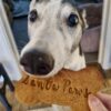 toby-eating-xmas-biscuit Christmas Bones