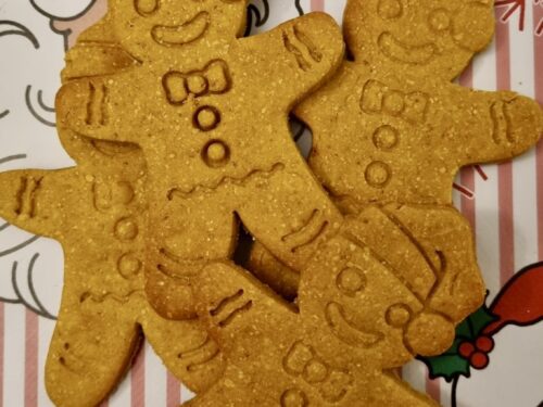 Close up of handmade gingerbread man dog biscuits with smiling faces, natural golden color on festive Christmas background