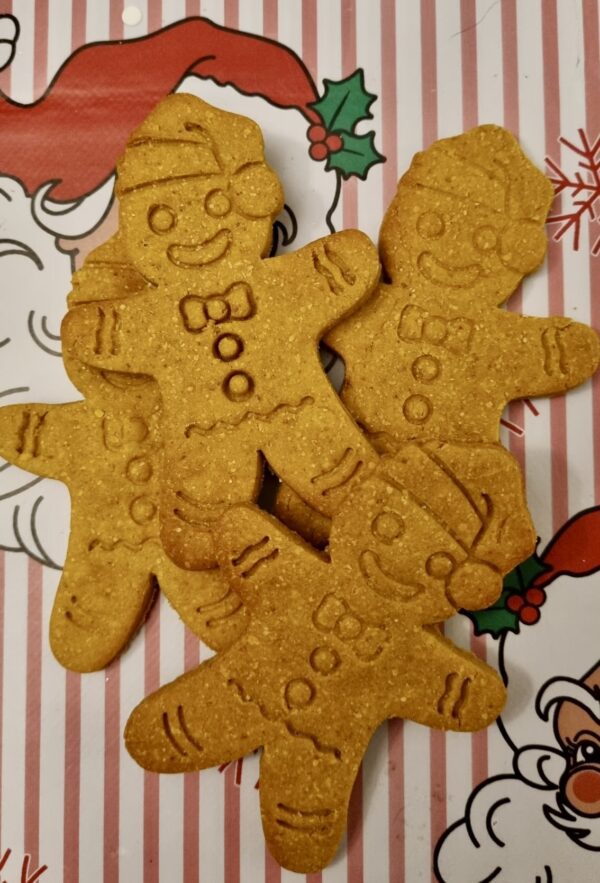 gingerbread-dog-biscuits-closeup-boo.jpg Close up of handmade gingerbread man dog biscuits with smiling faces, natural golden color on festive Christmas background